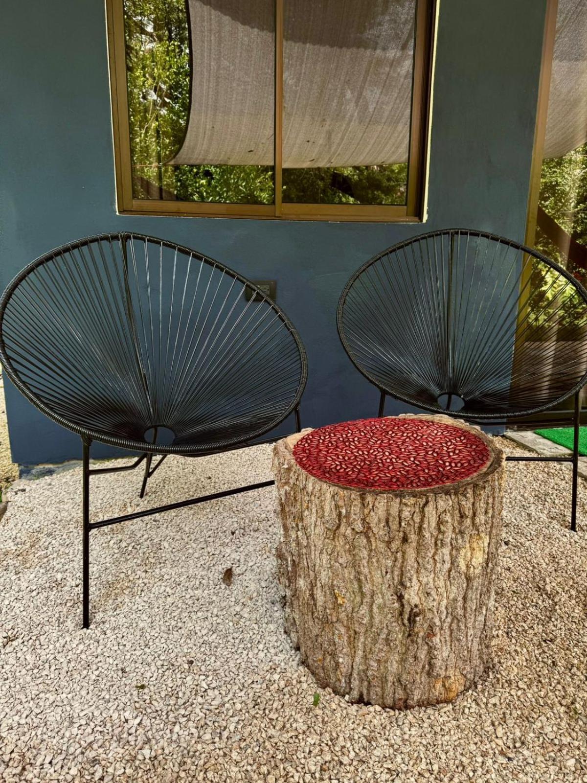 Cabuya  Deer House Cabuya 아파트 외부 사진